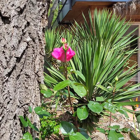 Le Val De Cesse Camping