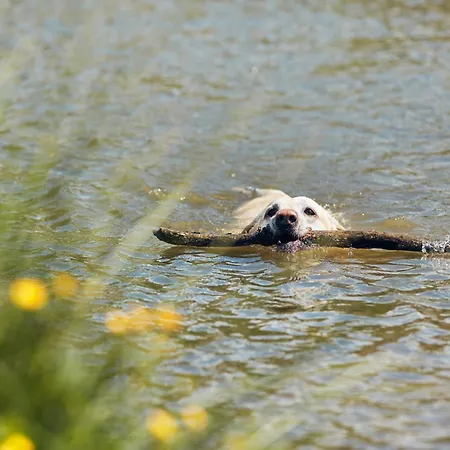 Le Val De Cesse Camping *