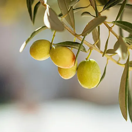 Camping Le Val De Cesse *