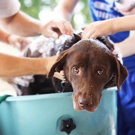 Кемпинг Le Val De Cesse Mirepeisset