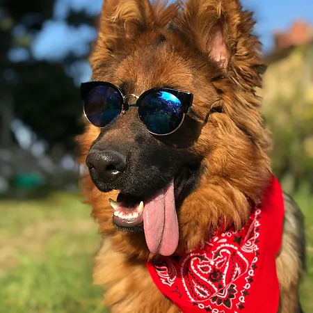 Camping Le Val De Cesse