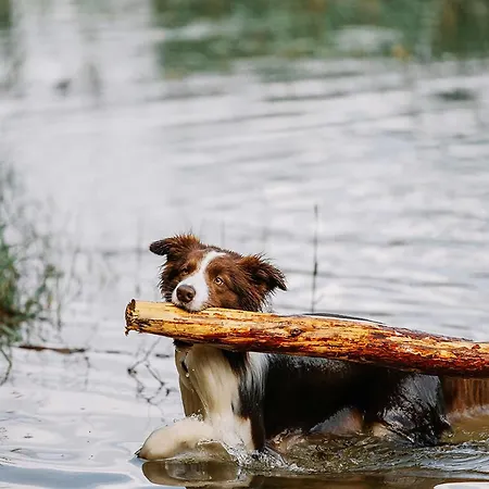 Le Val De Cesse * Mirepeisset