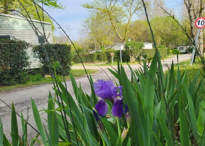 Le Val De Cesse Kemping