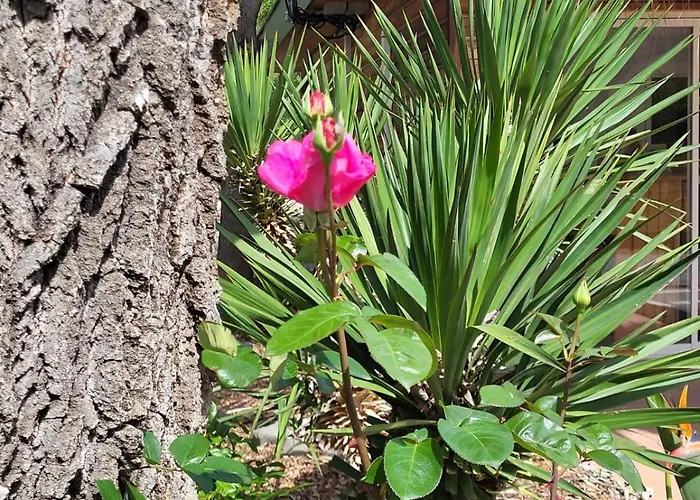 Le Val De Cesse Kemping