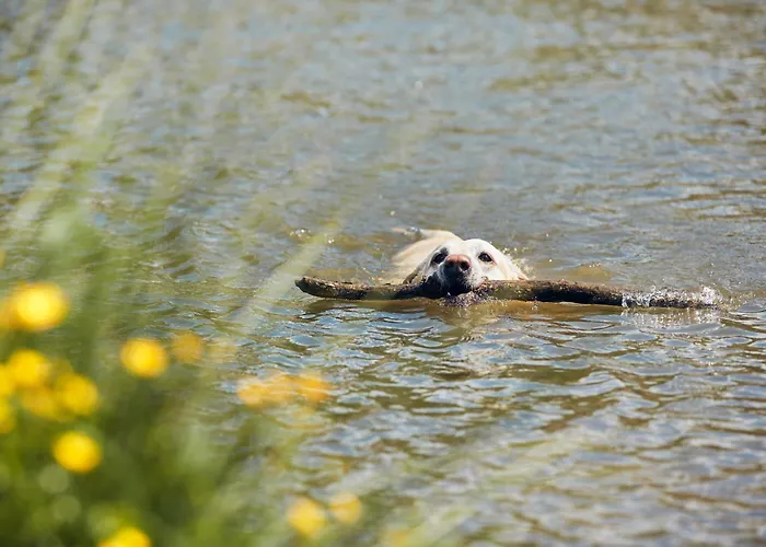 Le Val De Cesse Kemping *
