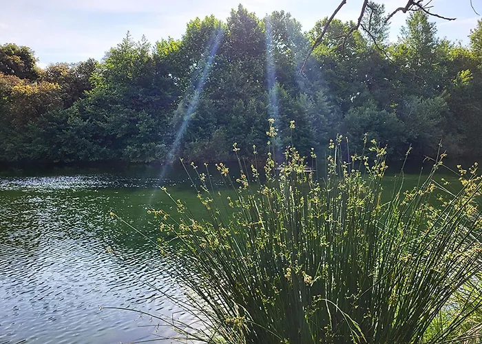 Kemping Le Val De Cesse *