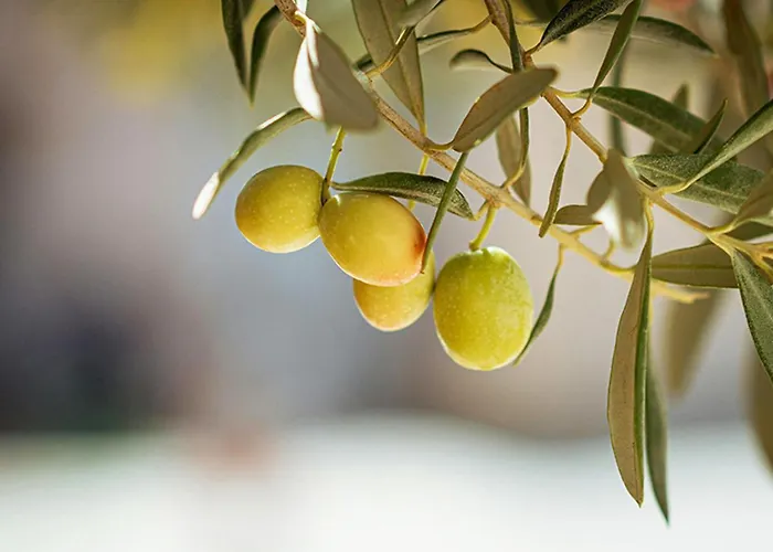 Kemping Le Val De Cesse *