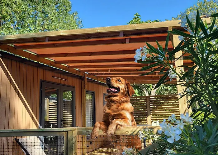 Le Val De Cesse Mirepeisset