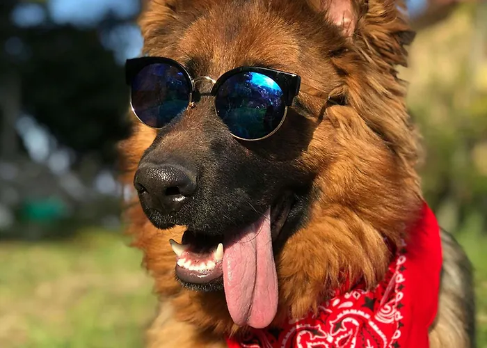 Kemping Le Val De Cesse